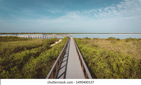 Smyrna Dunes Park New Smyrna Beach Stock Photo Edit Now