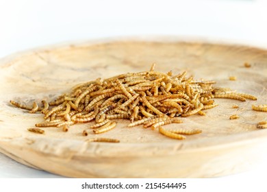 Snack insect on wooden plate. Mealworms crustaceans tenebrio molitor, freeze-dried for snacking. Fried worms. Roasted mealworms