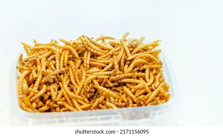 Snack insect in a plastic bowl. Mealworms crustaceans tenebrio molitor, freeze-dried for snacking. Fried worms. Roasted mealworms