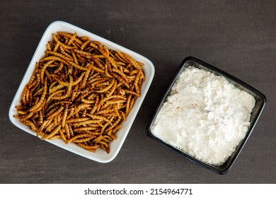 Snack insects. Mealworm larvae as food and a bowl with flour. Mealworms crustaceans tenebrio molitor, freeze-dried for snacking. Fried worms. Roasted mealworms. Animal snack concept