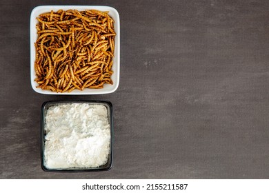 Snack insects. Mealworm larvae as food and a bowl with flour. Mealworms crustaceans tenebrio molitor, freeze-dried for snacking. Fried worms. Roasted mealworms. Animal snack concept