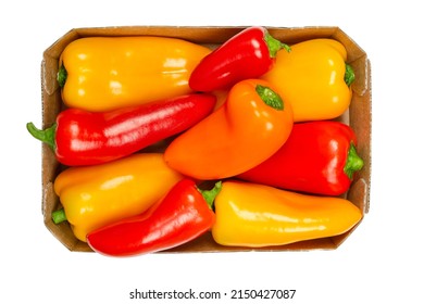 Snacking mini sweet peppers, in a cardboard tray. Ripe, fresh bell peppers in three colors, also called capsicums, fruits of  vegetable Capsicum annuum cultivars. Close-up from above macro food photo.