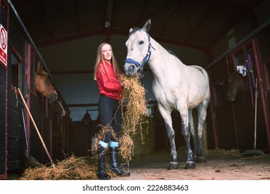 Snacking on some A-grade hay. Shot of a teenage girl feeding her horse some hay. - Powered by Shutterstock