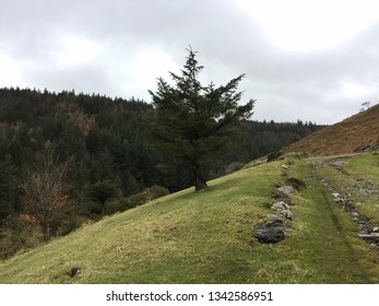 Snaefell Mountain, Isle Of Man