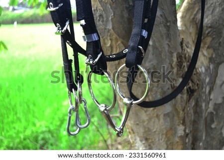 Snaffle Bits bridle bit Equestrian equipment