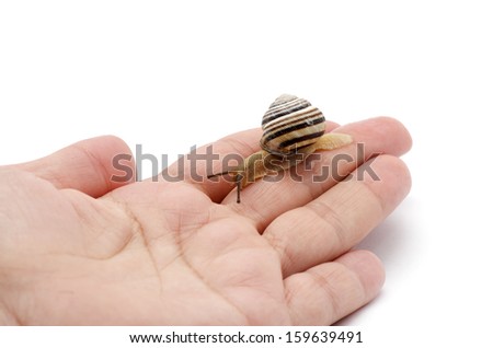 Similar – Image, Stock Photo Close contact II Animal