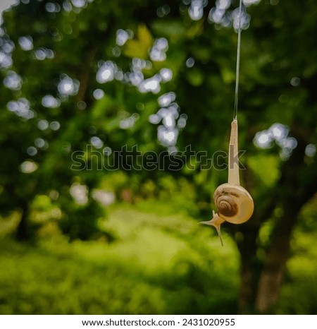 a snail closeup captured in nature, wildlife photography