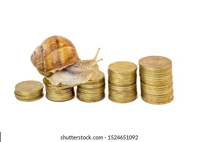 A Snail Crawling On Coins Of Ukrainian Hruvnya Arranged In Schedule Cut Out On White Background. Slow Economic Growth Concept.