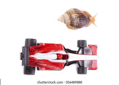 A Snail And An F1 Toy Car Ready To Race Seen From Above