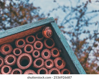 A Snail home insect Eco home  - Powered by Shutterstock