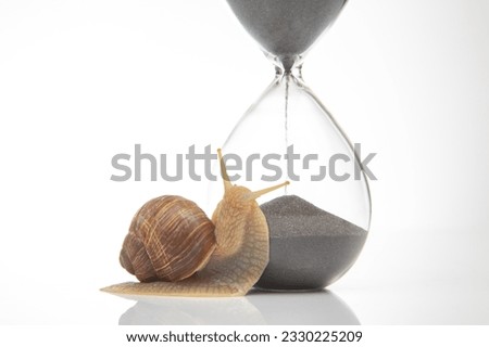 Snail and hourglass on a white background. The concept of slow time. Speed ​​of time in a day