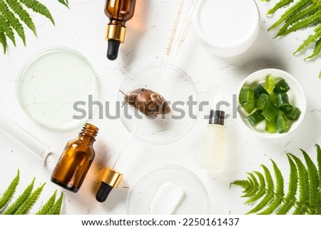 Snail mucin products at white background. Natural anti-aging cosmetic, repair skincare product. Flat lay image.