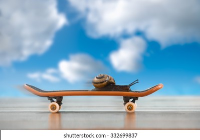 A snail on a skateboard, moving fast with sky in background - Shutterstock ID 332699837