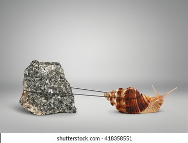 Snail pulling big stone, persistence concept