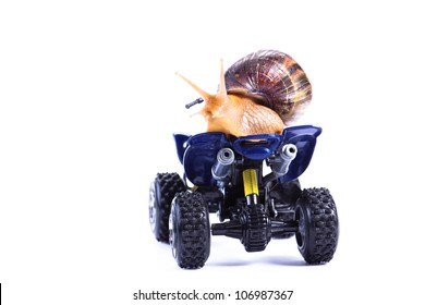 snail riding toy