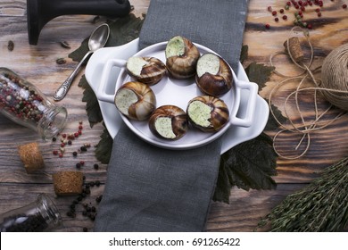 snails