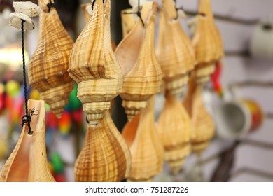 snails