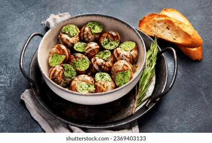 Snails with herbs butter,  French traditional food with parsley and bread on grey background. 