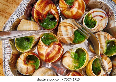 Snails As Nice French Gourmet Food Background