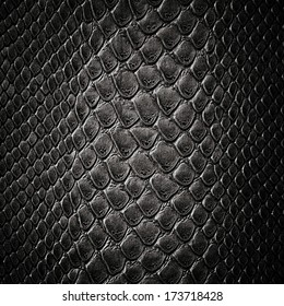 Snake Black Skin Leather Texture