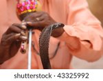 Snake charmer