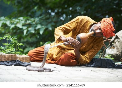 Snake Charmer Man In Turban Playing Music Before Snake In India