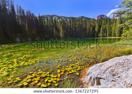 Snake Lake in Durmitor - Montenegro - nature travel background
