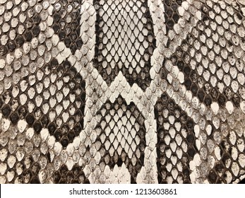 96,957 Reptile skin texture Images, Stock Photos & Vectors | Shutterstock