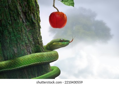 Snake On A Tree With An Apple Fruit. Forbidden Fruit Concept Religious Theme.