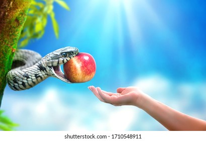 Snake in paradise giving an apple fruit to a woman. Forbidden fruit concept.