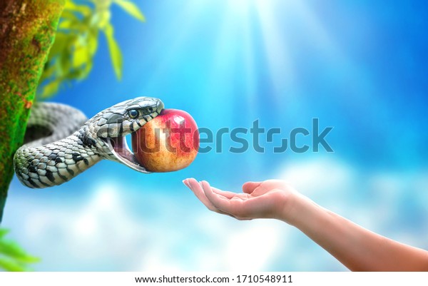 Snake in paradise giving an apple fruit to a\
woman. Forbidden fruit\
concept.