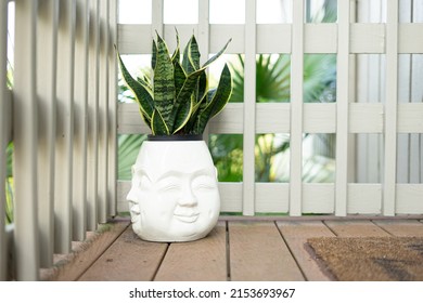 Snake plant in laughing buddha pot on deck with white railing