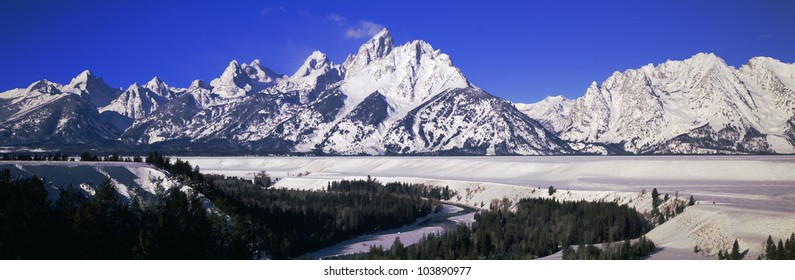 Yellowstone National Park Buffalo By The Snake River Wyoming Panorama Poster