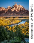 Snake River Overlook in Grand Teton National Park