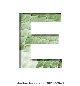 Paper Cut Letter E Stock Photos Images Photography Shutterstock