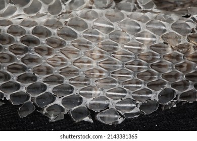 Snake Shed Skin On Dark Background.