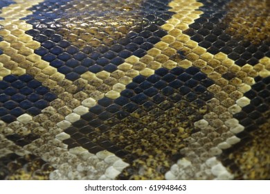 Skin Green Burmese Python Snake Zoo Stock Photo 703448554 | Shutterstock