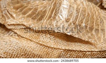 snake skin after molting with the scales of geometric figures