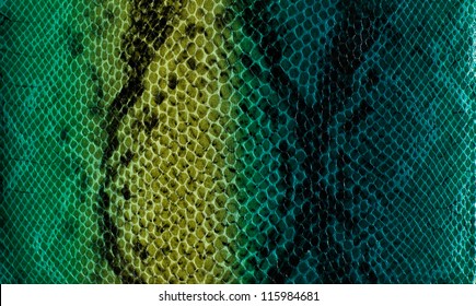 Snake Skin Background