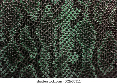 Snake Skin Background