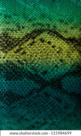 Snake skin background