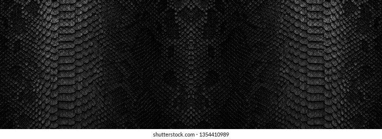 Snake skin background. Close up reptile texture. - Shutterstock ID 1354410989
