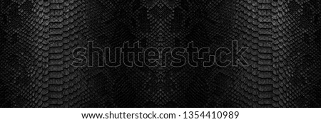 Snake skin background. Close up reptile texture.