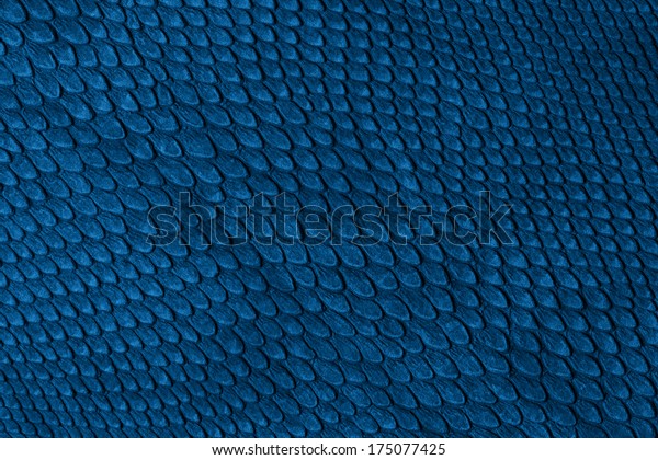 Snake Skin Blue Stock Photo (Edit Now) 175077425