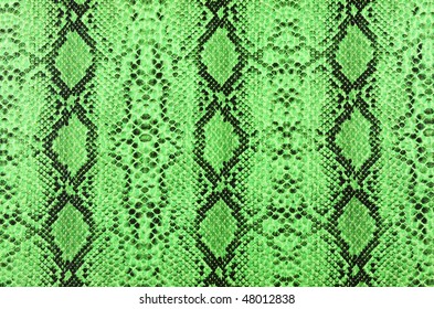  Snake Skin Green