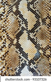 Snake Skin Pattern Background