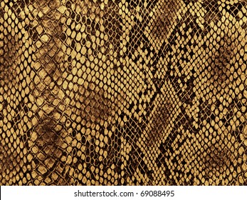 snake skin and the pattern lozenge style