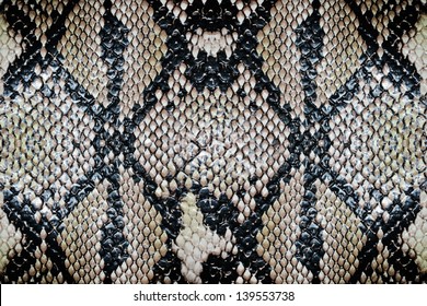 17,297 Grey Snake Skin Images, Stock Photos & Vectors | Shutterstock