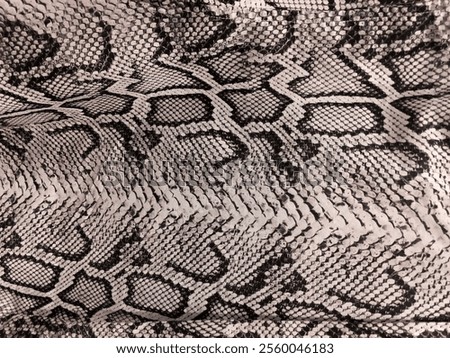 Snake Skin Seamless Patterns set skirt fabric texture