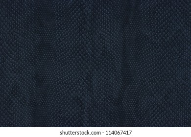 Snake Skin Texture For Background